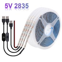 DC 5V LED Strip Light USB Battery Power SMD 2835 60LED With Switch Dimmer Warm Cold White Blue Waterproof Flex Tape Lights Lamp LED Strip Lighting