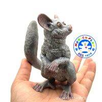 Munich Play - โมเดลสัตว์ Sugar Glider ชูการ์ไกลเดอร์ ขนาด 10.00 CM (จากหาดใหญ่)