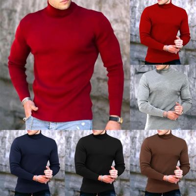 yii8yic Mens Warm Cotton Neck Pullover Sweater Turtleneck