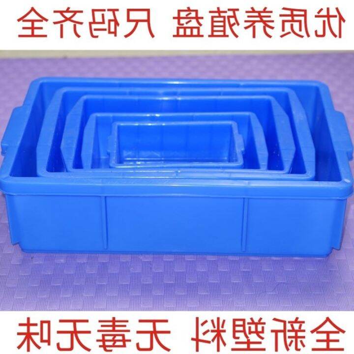 Mealworm Live Worms Scleropages Feed Preservation Barley Insect