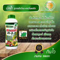 ปุ๋ยน้ำ NPK เต็มสูตร 21-3-3 + อะมิโนแอซิด ปุ๋ยเกรทพาวเวอร์ ตราช้างเก้ายอด ปุ๋ยน้ำระดับพรีเมี่ยม กินไว งามทน ผลดก