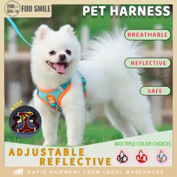 Shop Stylish Adjustable Pet Leash Dog Harness Leash Mesh Breathable Collar  Leash Strap Complete Set Pet Leash Belt Traction Rope with great discounts  and prices online - Jan 2024