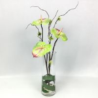 OrientalFineArt  แจกันดอกไม้แต่งบ้าน ดอกหน้าวัว Anthurium จัดในแจกันแก้วใสทรงกระบอกสูง