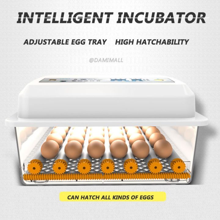 220V/12V Eggs Incubator Digital Automatic Egg Incubator Fully Automatic ...