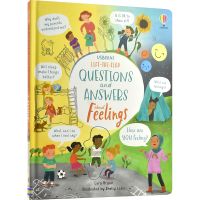 Usborne lift the flap questions and answers about feelings