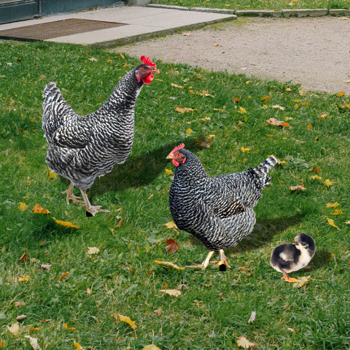 carmelun-ไข่ไก่สมจริง3ชิ้นสำหรับครอบครัวไก่รูปปั้นสวนสวนของตกแต่งบ้านไร่สวนสนามหลังบ้านเครื่องตกแต่งภายนอกชนบท