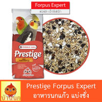 Prestige Forpus Expert 500g / 1kg (แบ่งชั่ง) ทานตะวันรวม อาหารนกแก้ว อาหารนก ธัญพืชรวม ทานตะวัน ฟอพัส พรีสทีจ ทานตะวัน บัควีค