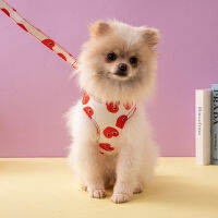Gees แบรนด์น้ำเทียมสุนัข Kawakyu ที่แข็งแกร่งดึงจูงระบายอากาศ Shihtzu เทียมกลางแจ้ง