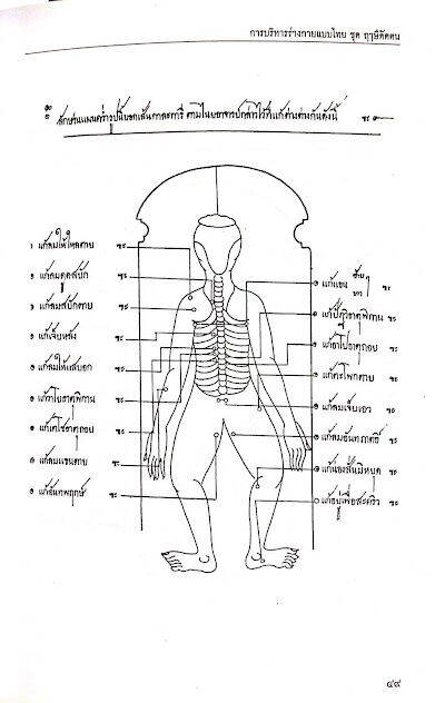 หนังสือ-การบริหารร่างกายแบบไทย-ฤาษีดัดตน-มรดก-ภูมิปัญญาไทย-อันทรงคุณค่า-ใหม่-พร้อมส่ง-ศึกษาได้ด้วยตนเอง-อ่านเข้าใจง่่าย