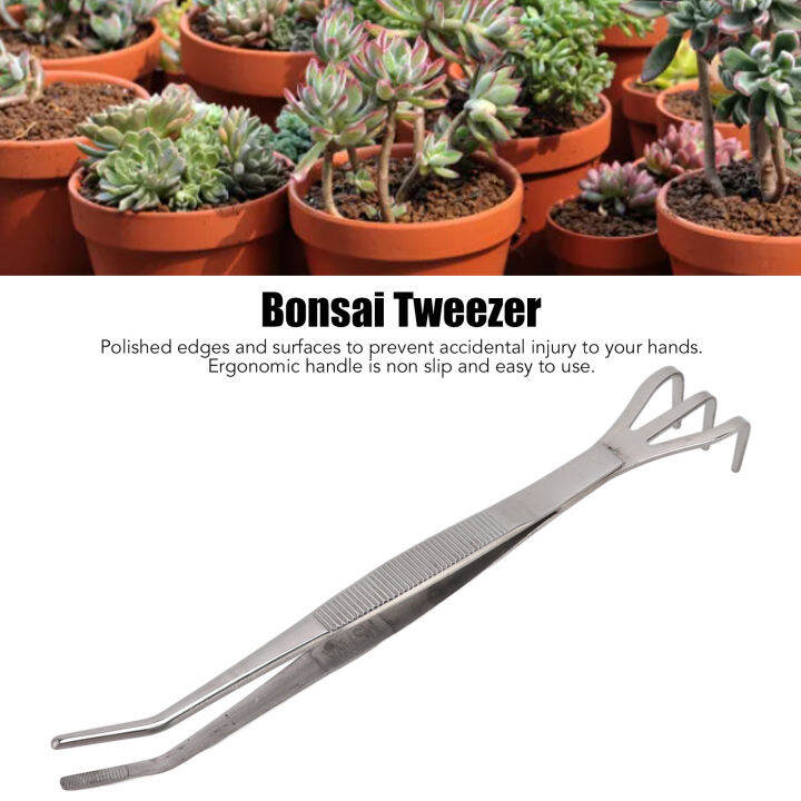 Bonsai Root Rake Root Rake Antislip 3 Prong for Plant Lazada PH