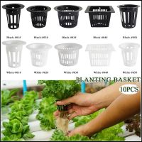 10pcs 3 cm Mesh Pot Net Cup Basket Hydroponic System Garden Plant Grow Vegetable Cloning Seed Germinate Nursery Pots