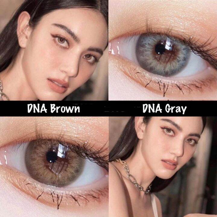 คอนแทคเลนส์-รุ่นdna-brown-gray-ขนาดมินิเท่าตา