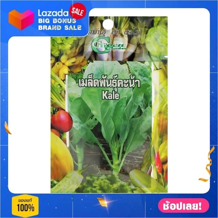 เมล็ดพันธุ์ผักคะน้าใบ กรีน การ์เด้น เมล็ดพันธุ์ ปลูกง่าย แข็งแรง สำหรับปลูกขาย เมล็ดพันธุ์ไม้