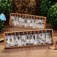 【100%-New】 JC SQUARE 12ชิ้น/แพ็คน่ารักสร้างสรรค์แก้วเล็กจุกไม้ก๊อกขวดที่ต้องการภาชนะบรรจุขวดเครื่องประดับวินเทจตกแต่งงานประดิษฐ์