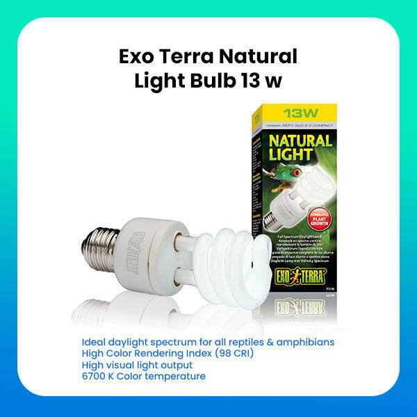 Exo Terra 13W Full Spectrum Daylight Bulb Natural Light for