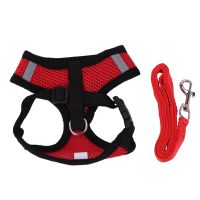 Adjustable Pet Dog Leads Chest Straps Small Pet Basic Halter Harnesses keep your dog &amp; cat safe and comfortable