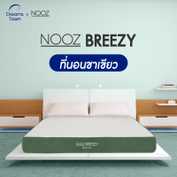 Nooz ที่นอนชาเขียว คนรักชาเขียวต้องไม่พลาด ชาเขียวให้ความสดชื่อลดกลิ่นไม่พึงประสงค์ หนา 6 นิ้ว รุ่น Breezy