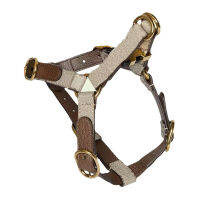 Drop Shipping Luxury Accessories Dog Designer Harness And Leash Set Collars With Pop Bag Sets