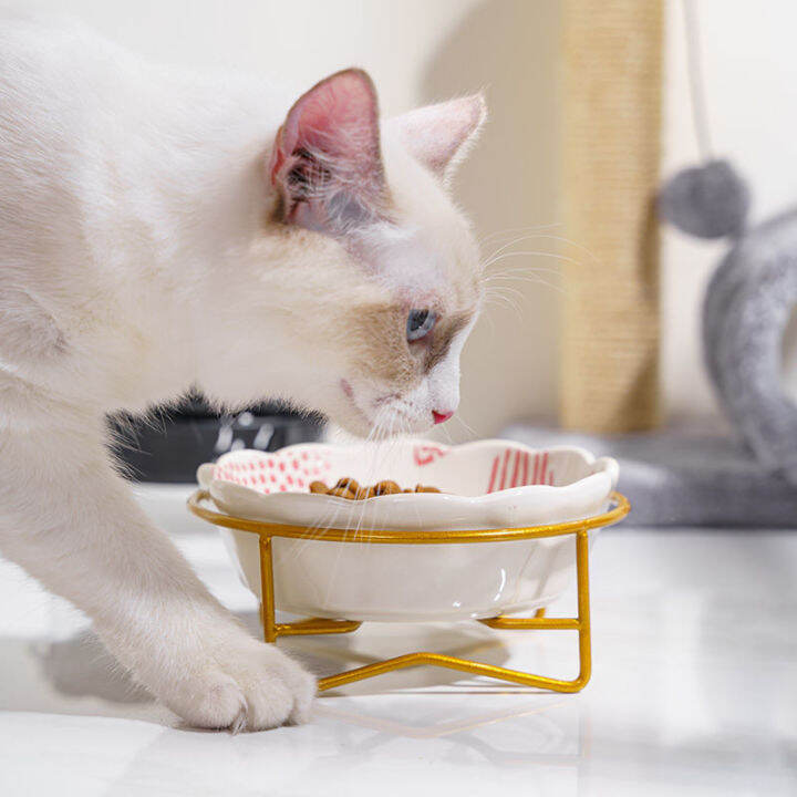 new-ceramic-pet-bowl-protect-the-spine-table-high-foot-cute-cartoon-feeder-dog-and-cat-fish-pattern-bowl-pet-supplies