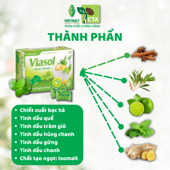 Viên ngậm ho viasol húng chanh hộp 100 viên - ảnh sản phẩm 2