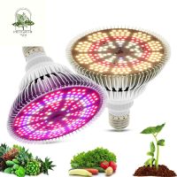 [ready stock]โคมไฟปลูกต้นไม้ 250W UV IR E27 หลอดไฟ Led Grow light Full spectrumสำหรับดอกไม้เรือนกระจกปลูกพืชผัก Aquariumมีบริการเก็บเงินปลายทาง