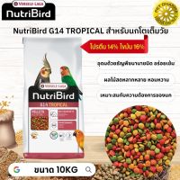 NutriBird G14 tropical อาหารเม็ด สำเร็จรูป นกพาราคทีขนาดใหญ่ หมดกังวลกับปัญหาการเลือกกินของนก 10KG