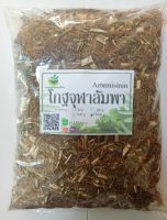 โกฐจุฬาลัมพา ขนาด 1000 กรัม คัดพิเศษ!!! สินค้าพร้อมส่ง (Phuchifa_Organic)