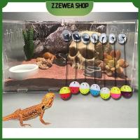 ZZEWEA SHOP ลูกบอลพลาสติกของเล่นกระดิ่งทรงลูกบอลเรียบของเล่นจิ้งจกตัวดูดพลาสติก