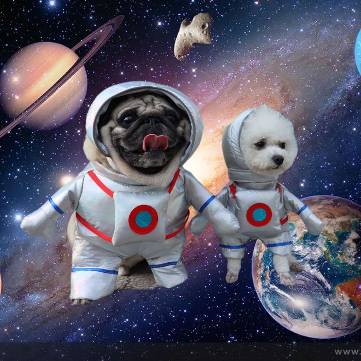 cod-สัตว์เลี้ยงสุนัขแมวเสื้อผ้านักบินอวกาศชุดอวกาศนักบินอวกาศยืนชุดฮาโลวีนเสื้อผ้าตลก