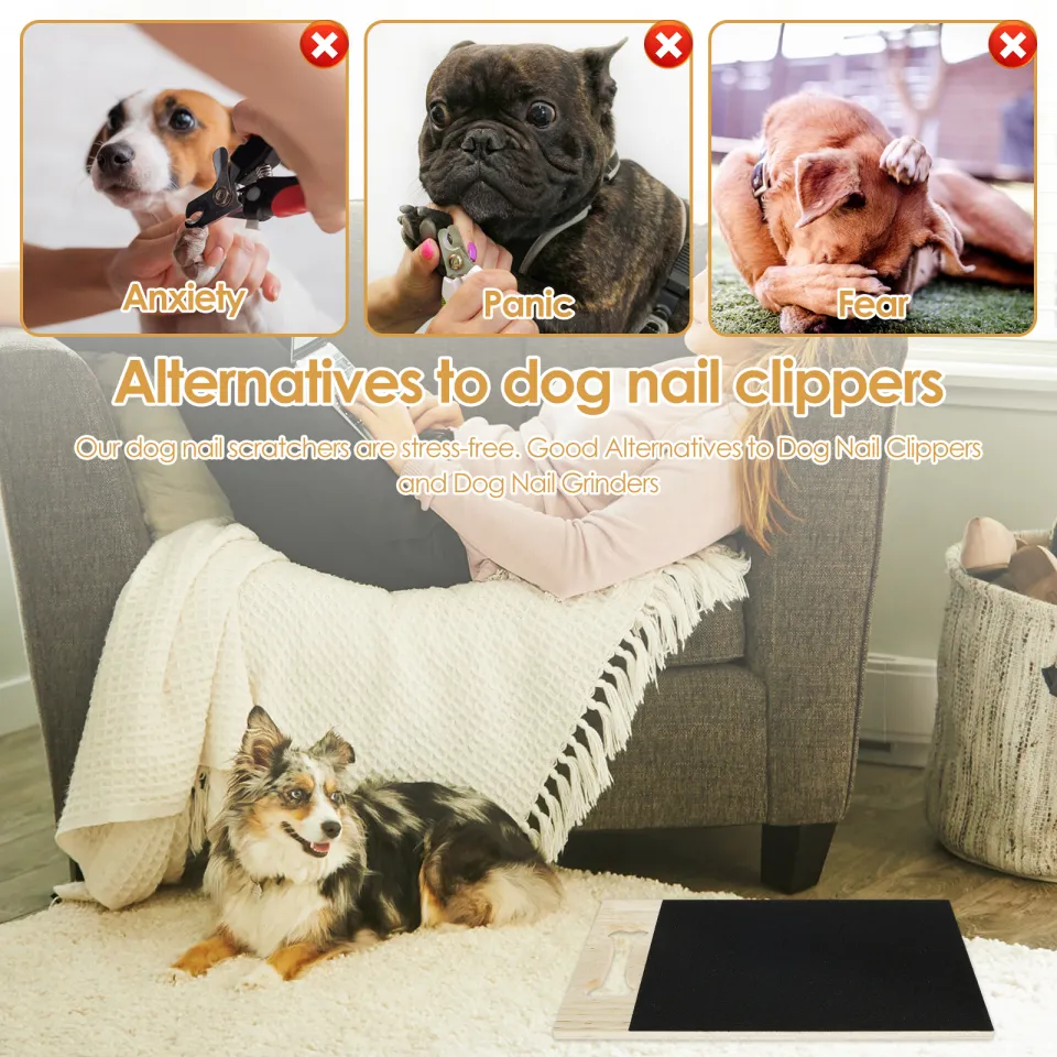 Snapklik.com : PAWELOUS Dog Scratch Pad For Nails - Self Standing Design -  Includes Very Detailed User Manual - Dog Nail Scratch Board - Replaceable  And Adhesive Sandpaper Included
