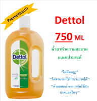 DETTOL เดทตอล น้ำยาฆ่าเชื้อโรคเอนกประสงค์ 750ml