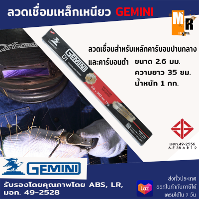 ลวดเชือมเหล็ก ลวดเชือมเหล็กเจมินี่ D1 GEMINI D1