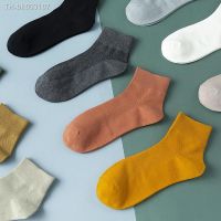 ☊ 3 Pairs/set Brand New Women Cotton Socks Fashion Casual Breathable Spring Summer White Tube Crew Neutral Socks Size EU 36-42