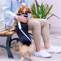 Dog Leash Walk Training Reflective Elastic Rope Small Medium Dog Leader Lead with Lock Anti Losing Dog Leashes Supplies