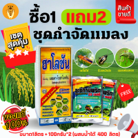 ? ชุดกำจัดแมลง (ฮาโลซัน1ลิตร+อะซีทามิพริด100กรัมx2ซอง) ซื้อ1แถม2