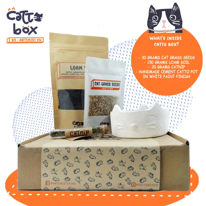 ARTEMIST - CATTO BOX - CAT GRASS SERIES (WHITE PAINT FINISH) | Lazada PH