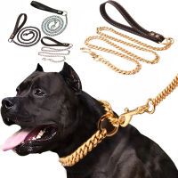 Stainless Steel Dog Chain Metal Training Pet Collars Thickness Gold Slip Dogs Collar and Leash for Large Dogs Pitbull Bulldog