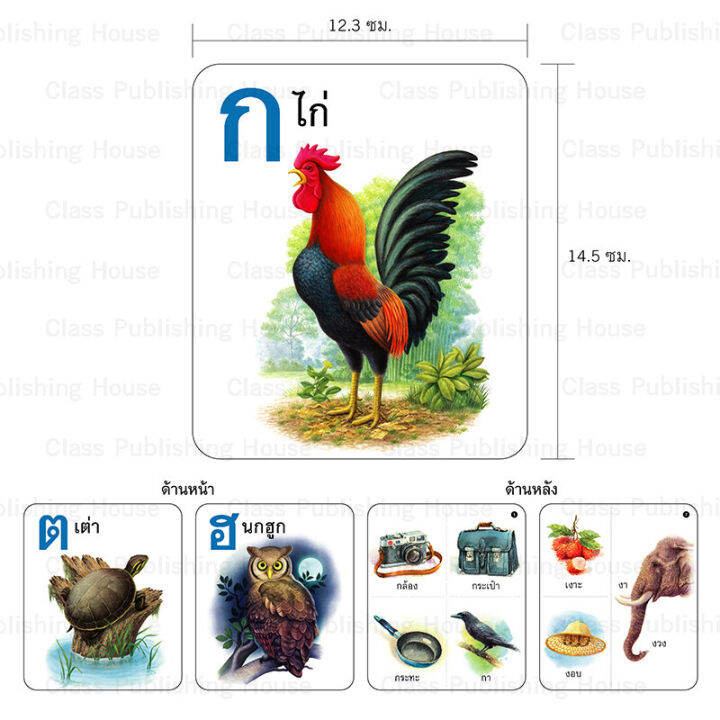 ห้องเรียน-flash-card-บัตรคำอ่านประกอบภาพ-ก-ไก่-บรรจุบัตรภาพ-44-ใบ-สอนพยัญชนะไทย-ก-ฮ