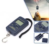 Portable 40Kg 10g Hanging Scale Digital Scale BackLight Electronic Fishing Travel Pocket Scale Luggage Scales Weights Tool Luggage Scales