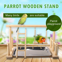 ไม้ม้ายืนนกแก้ว Playstand W ถาด Training Gym นก Cockatiel ขนาดเล็ก