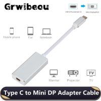 USB C to Mini DP Adapter USB Type-C to Mini Displayport Adapter For MacBook Pro Air ChromeBook Pixel IPad Pro Galaxy S8 /S9 More Cables