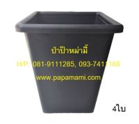 (4ใบ) papamami กระถางดำ เหลี่ยม 7 นิ้ว ทรงสูง กระถางพลาสติก กระถางแคคตัส กระถางปลูกตอ กระถางกระบองเพชร กระถางดำ กระถางปลูกต้นไม้ กระถางต้นไม้ กระถางเพาะ กระถาง 7นิ้ว ที่ปลูกต้นไม้ กระถางเพาะเมล็ด กระถางดอกไม้ สีดำ