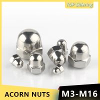 304 Stainless Steel Decorative Cover M14 Stainless Steel Cap Nut - 304 Stainless - Aliexpress