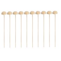 【cw】 Sticks Diffuser Rattan Reed Fragrance Stick Refill Wood Reeds Dried Duffuser Aromatherapy