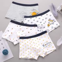 Children underwear boy boxer cuhk children 10 boys 12 boxers knickers head 15 pupils