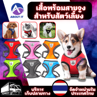 สายจูงพร้อมเสื้อสำหรับสัตว์เลี้ยง Size S/M/L/XL สายรัดอก ปลอกคอแมว เชือกจูงแมว  สำหรับสัตว์เล็กและกลาง สายจูง สายจูงแมว เสื้อจูงสุนัข