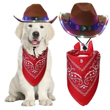 Cowboys Hat Pink Color for Dog or Cat /dog Costume / -   Singapore