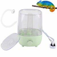 Pet Humidifier Fog Machine Household Quiet 4L Capacity Water Tank Transparent for Tortoise for Lizard