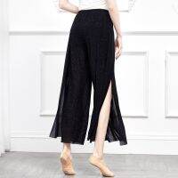 ✟○ Slit Wide-Leg Long Trousers Modern Classical Mesh Performance High Waist Elegant Drape Culottes Dance Practice Clothing Women