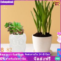 Eshopdeal【New】 Owl Succulent Plant Pot กระถางต้นไม้เซรามิกขนาดเล็ก Owl Succulent Plant Container พร้อมรูระบายน้ำ